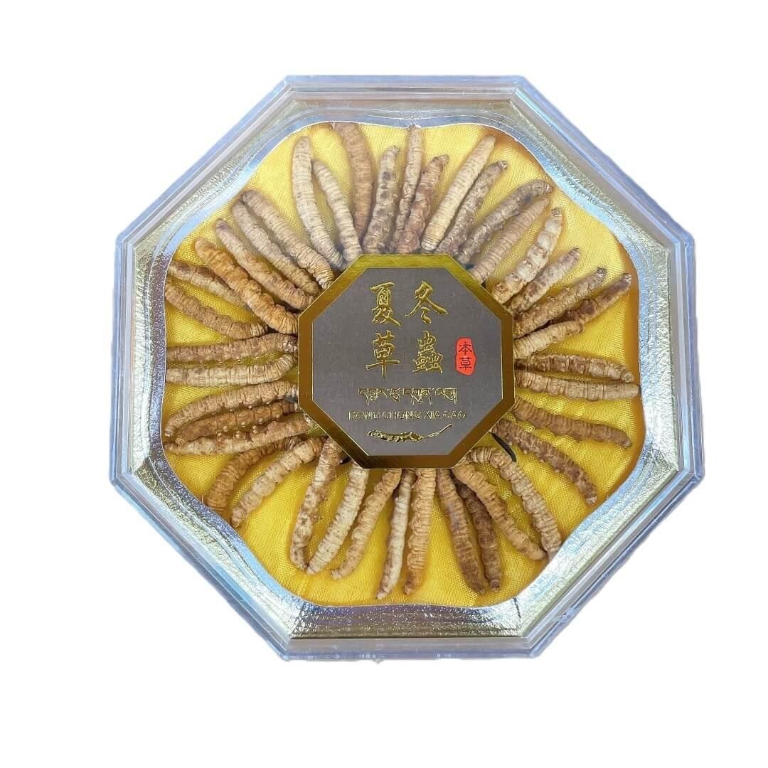 野生冬蟲夏草 大號 (1/2 盎司) 12 盎司