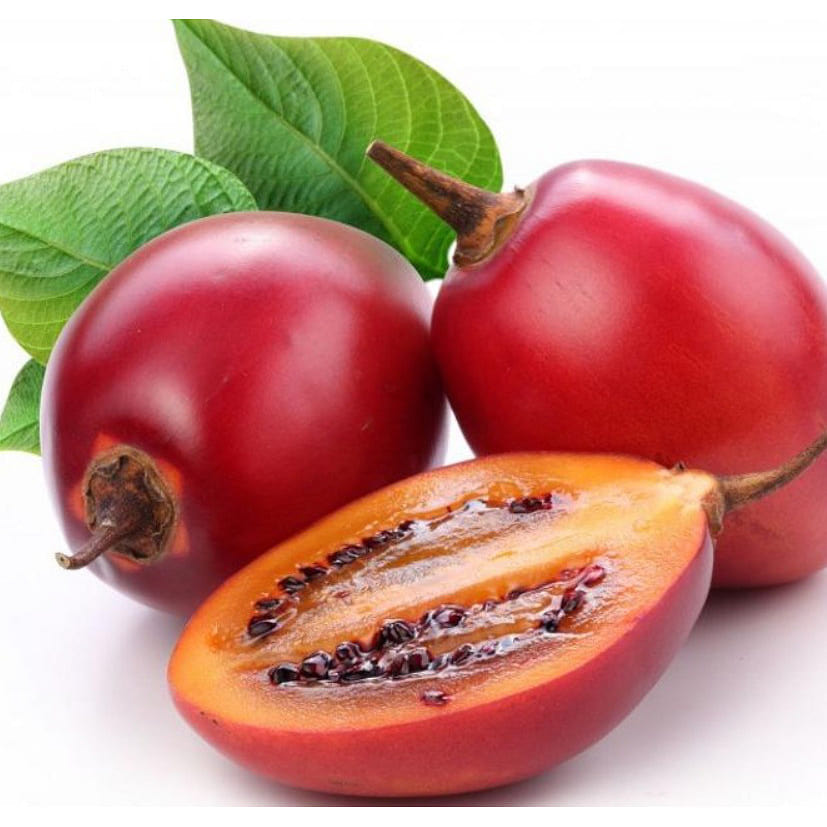 Tamarillo/Tree Tomato 1 lb