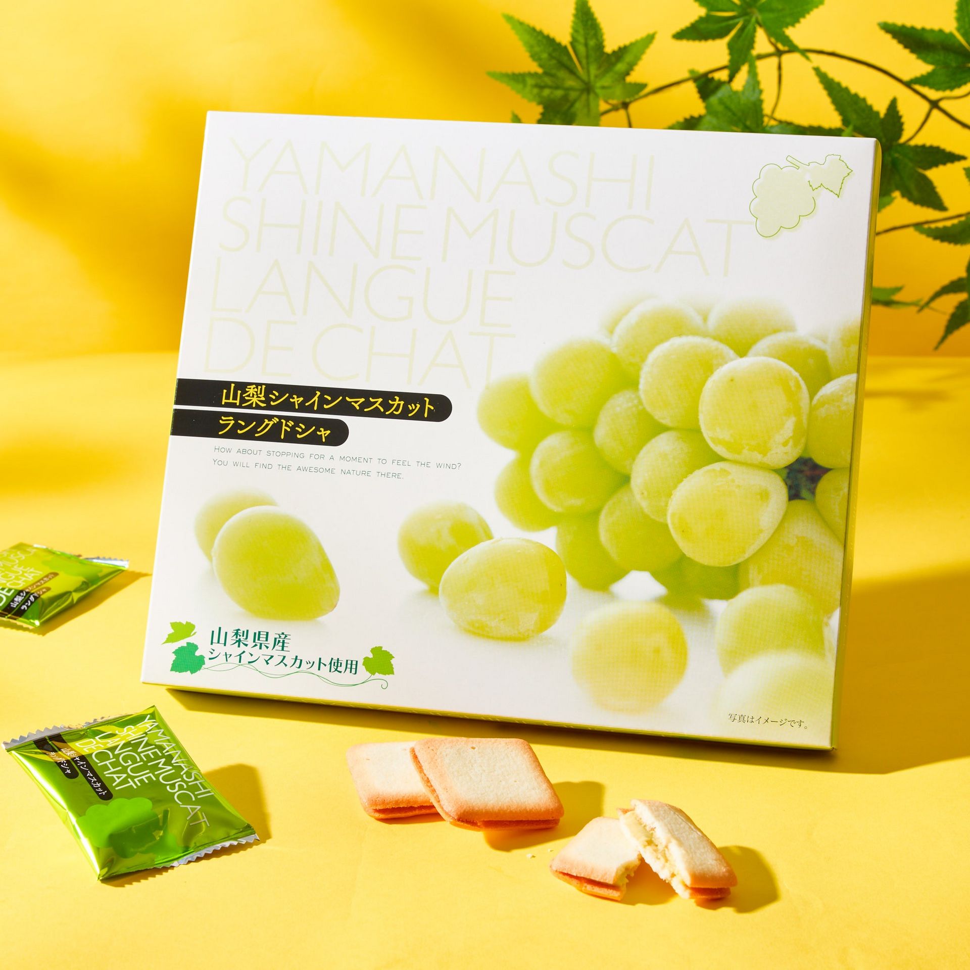 muscatページ Get Shine Muscat Langue de Chat Cookies (21 pieces) Delivered