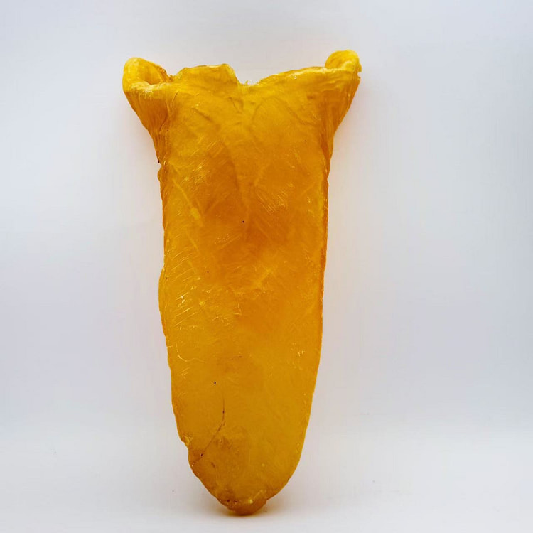 蟲草城 花膠筒#2.5-S (0.33LB/个)