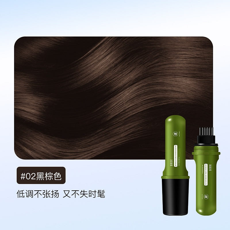 Disposable Hair Dye Pen Covering Gray Hair 02Black 1 count