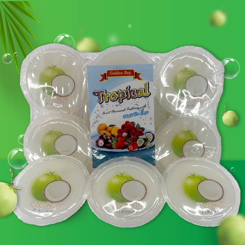 Tropical Fruit Pudding * Nata De Coco * Coconut Flavour * 6 pcs