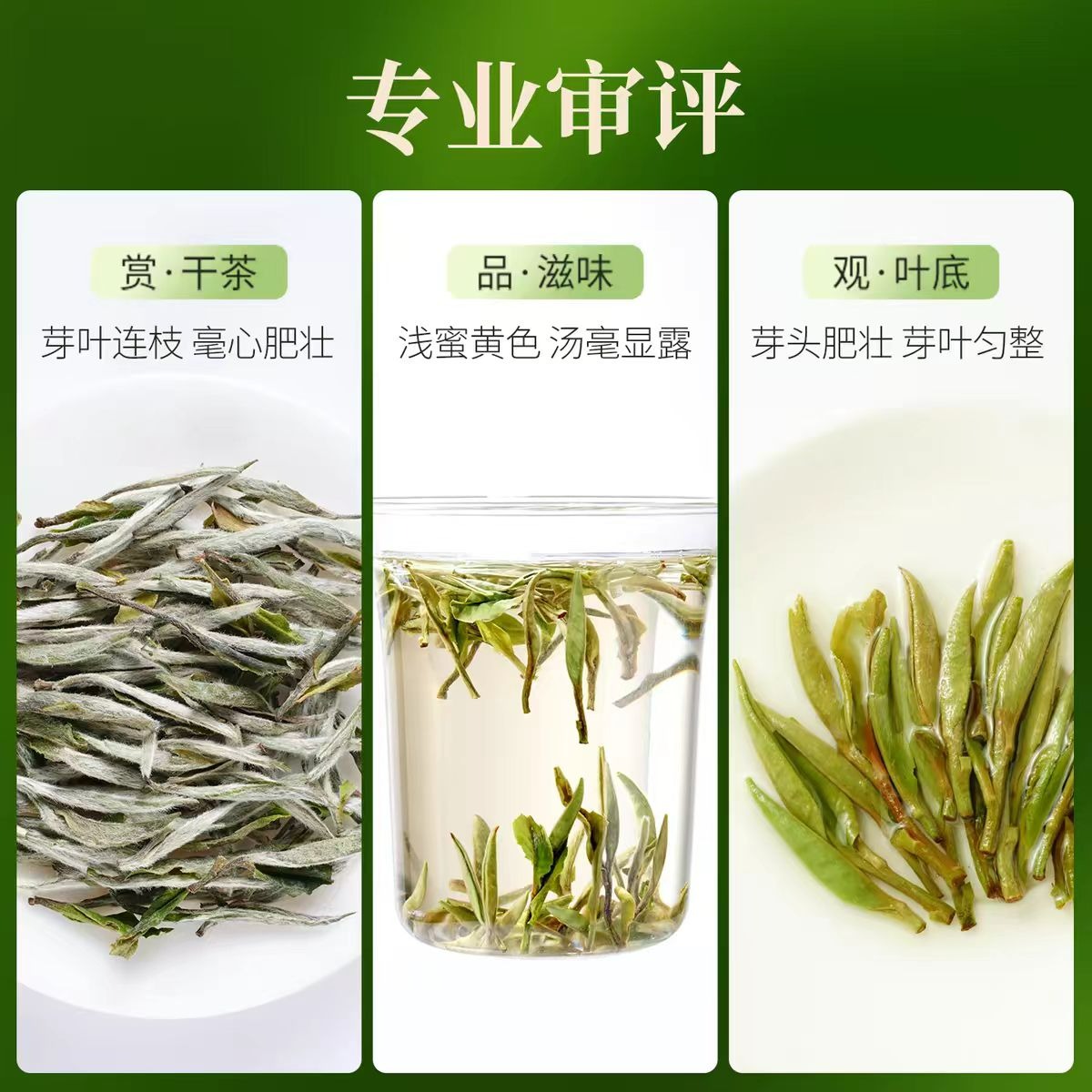 2026年新茶品品香特级花香白牡丹福鼎白茶茶叶40 克- Weee!