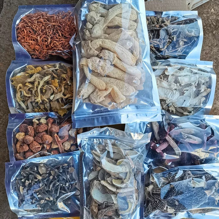 Yunnan Dried Mushrooms eight Verieties 540 g