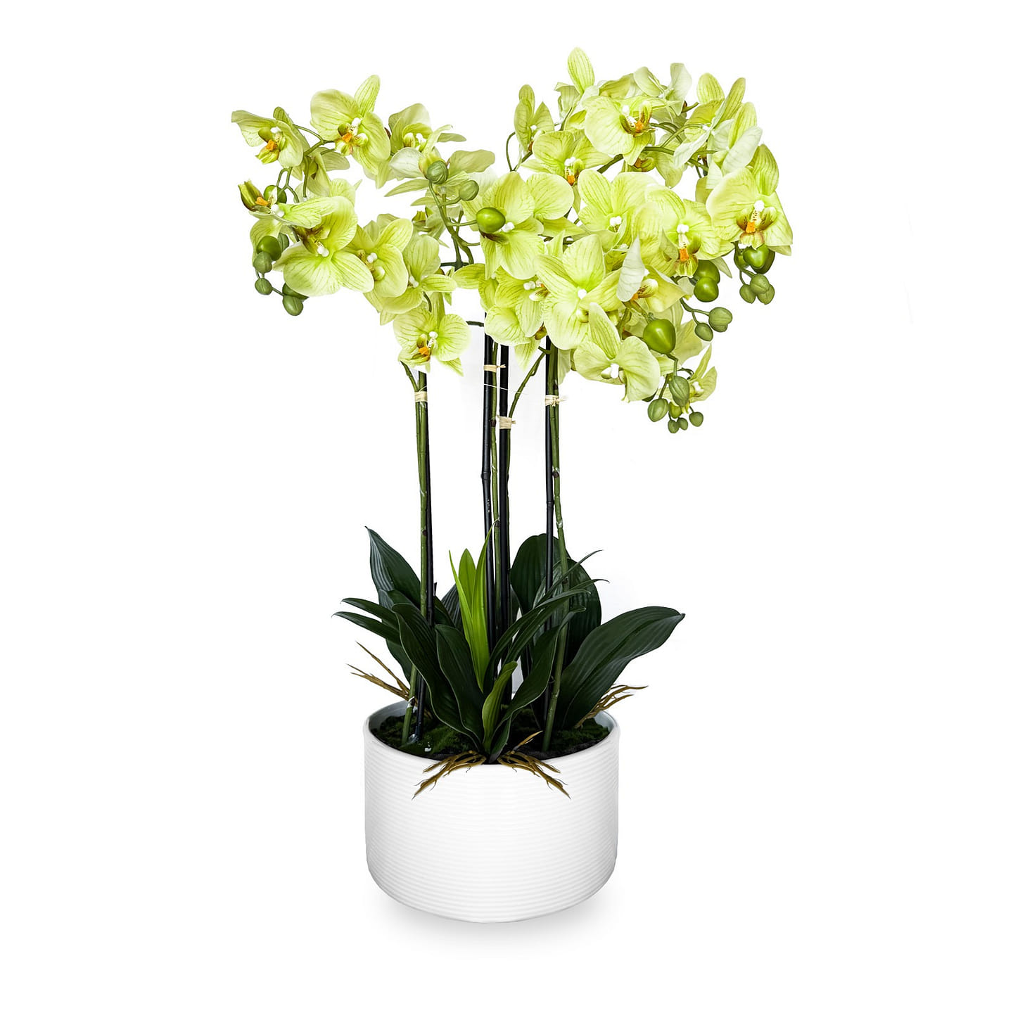 29 Real Touch Artificial Orchid in Pot Green 1 count