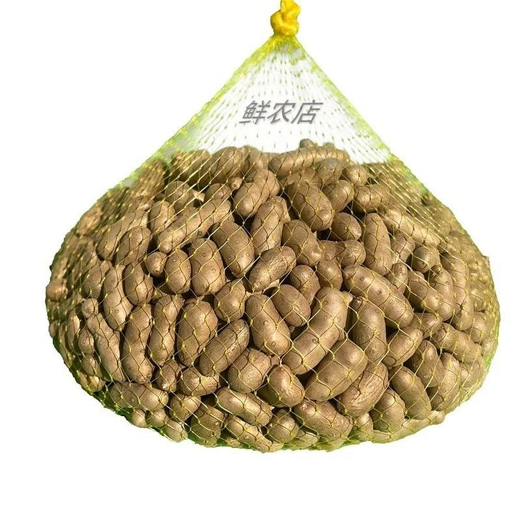 自然生长山药小白嘴山药豆蠡县正宗薄皮甜糯香