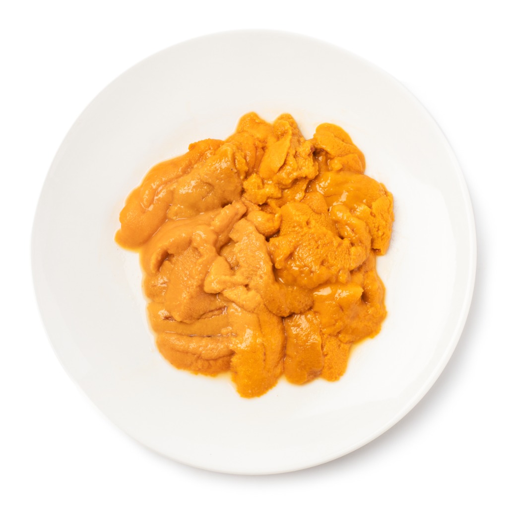 Bafun Uni Sea Urchin, Frozen Weee!