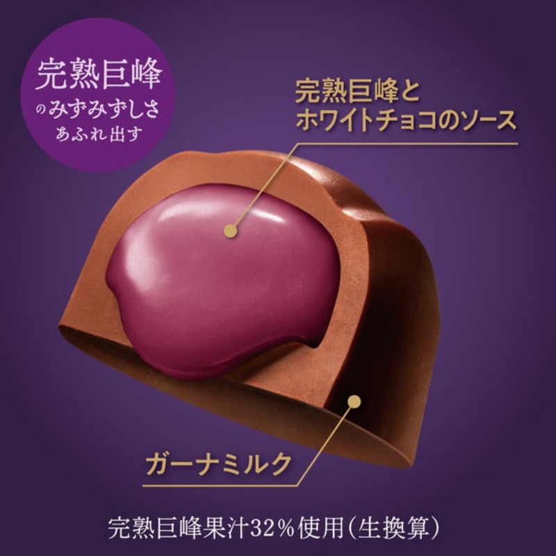 Limited time offer Ghana chocolate rich grape flavor sandwich 65g