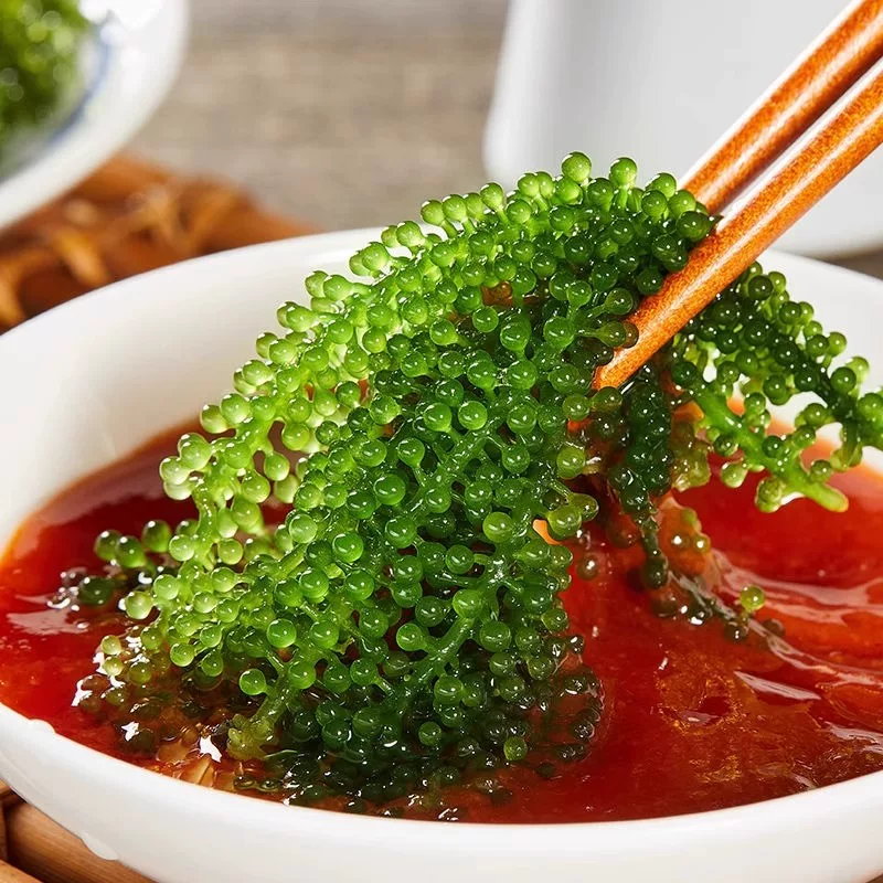 Get Sea grapes 100g*1 100 g Delivered | Weee! Asian Market