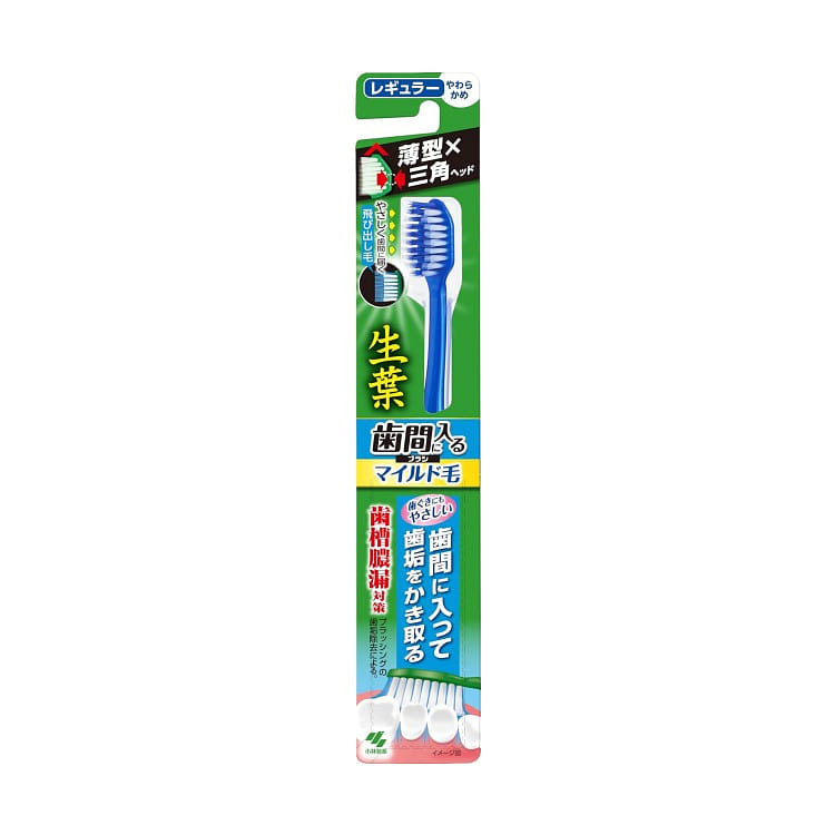 Kobayashi Pharmaceutical Regular Toothbrush 1pc 1 each
