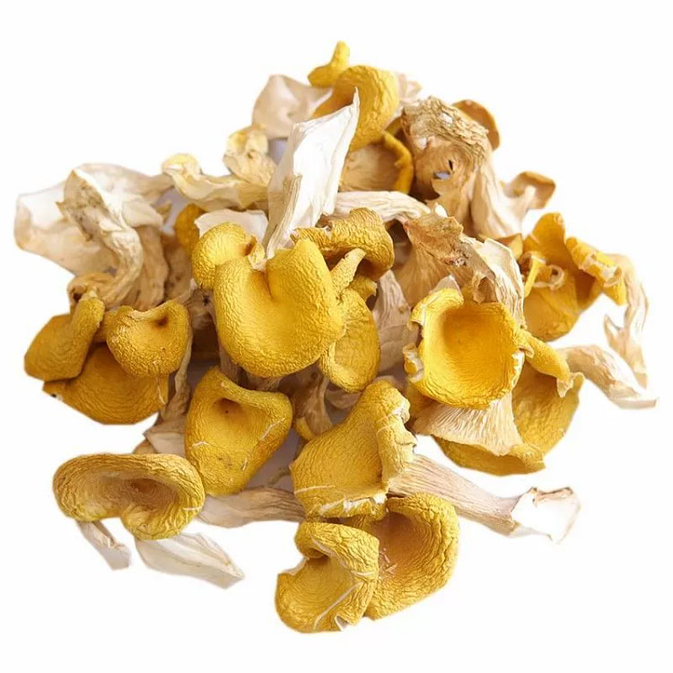 菌状元 鸡油菌云南蘑菇干黄丝菌菇黄金菇榆黄菇煲汤