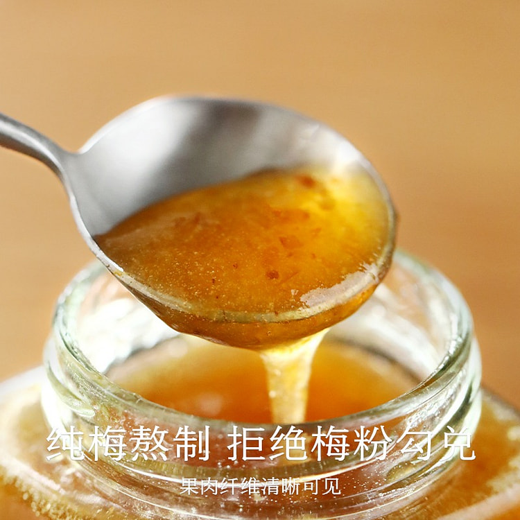 【吃好 吃放心】南食召 梅酱 酸甜带咸 纯梅熬制