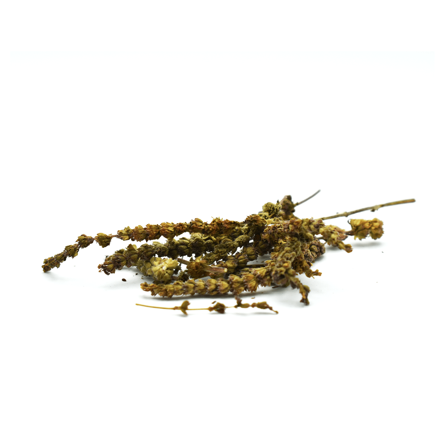 JING JIE – Schizonepeta Stem or Bud – Custom Amount 1lb (454g) 1 each