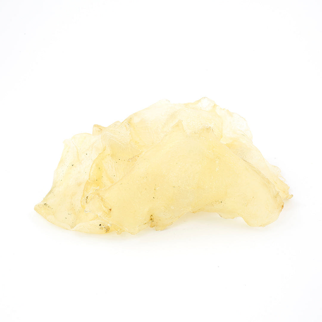 Dried Fish Maw #392 (22-25pcs/Lb) 1 each
