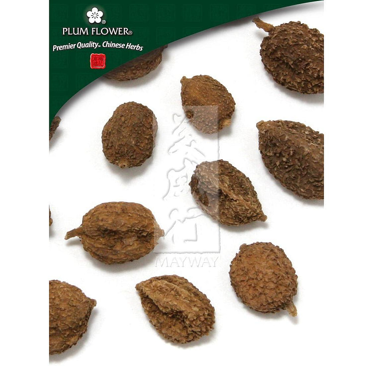 Sha Ren, unsulfured Amomum villosum fruit