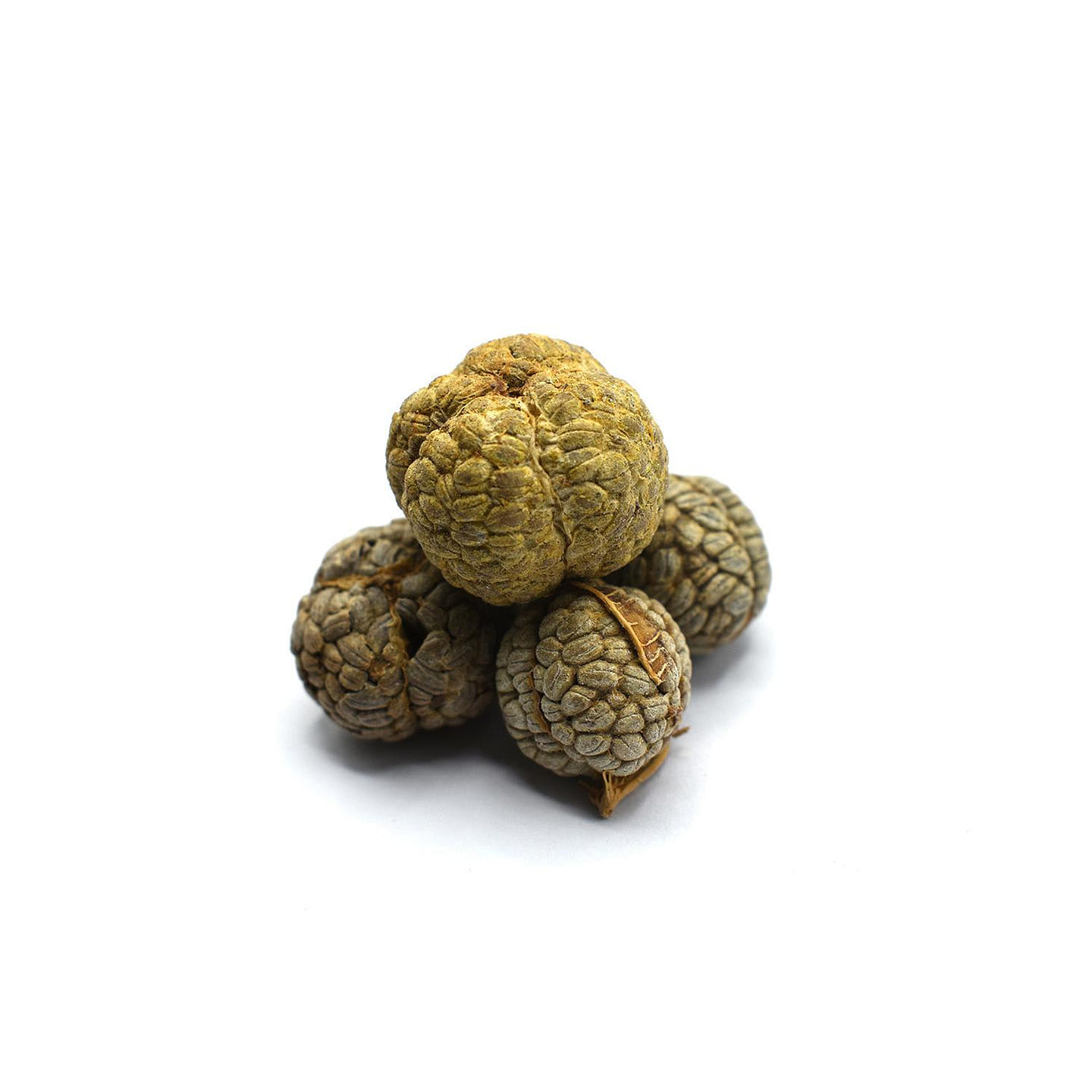 CAO DOU KOU – Katsumada’s Galangal Seeds – 100 g 1 each