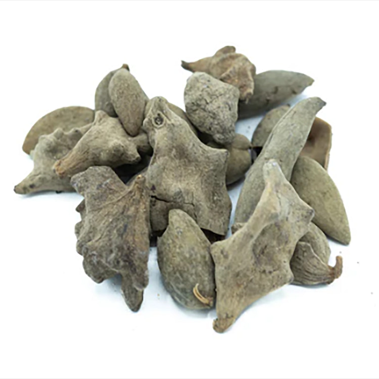 WU-BEI-ZI-五倍子 - 1lb