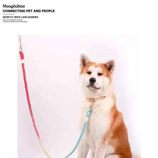 【MAOGOUBLUE】Dog Rainbow Collar 1 ส่วน
