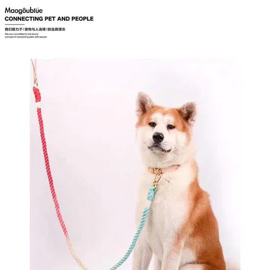 【MAOGOUBLUE】Dog Rainbow Collar 1 each