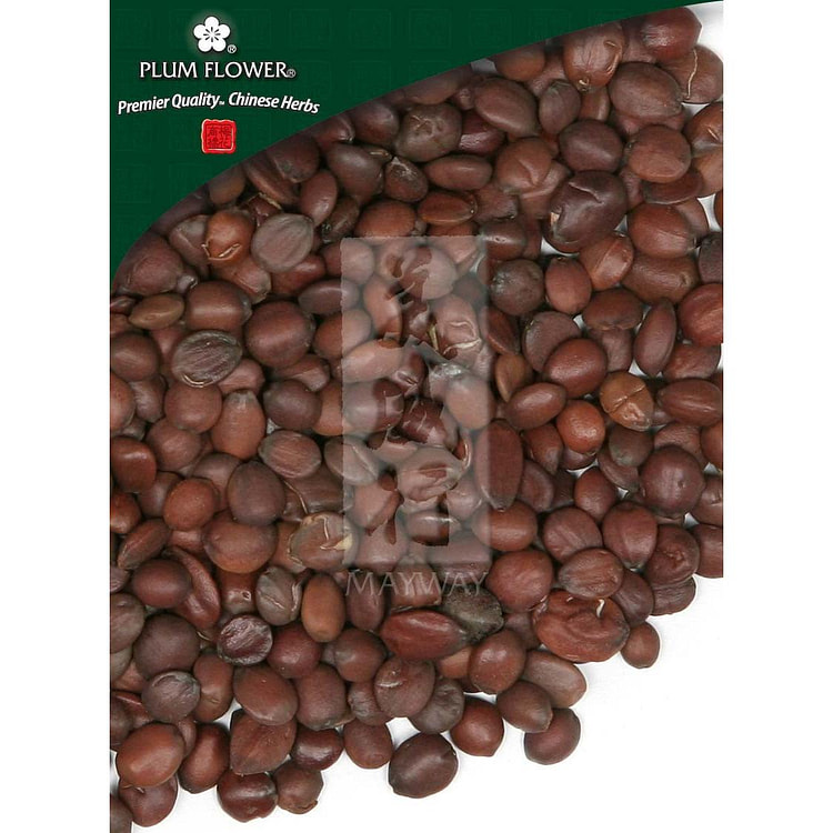 Suan Zao Ren, unsulfured Ziziphus jujuba seed- raw