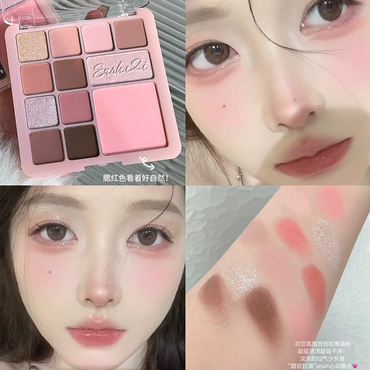 12 shades of eyeshadow contour blush