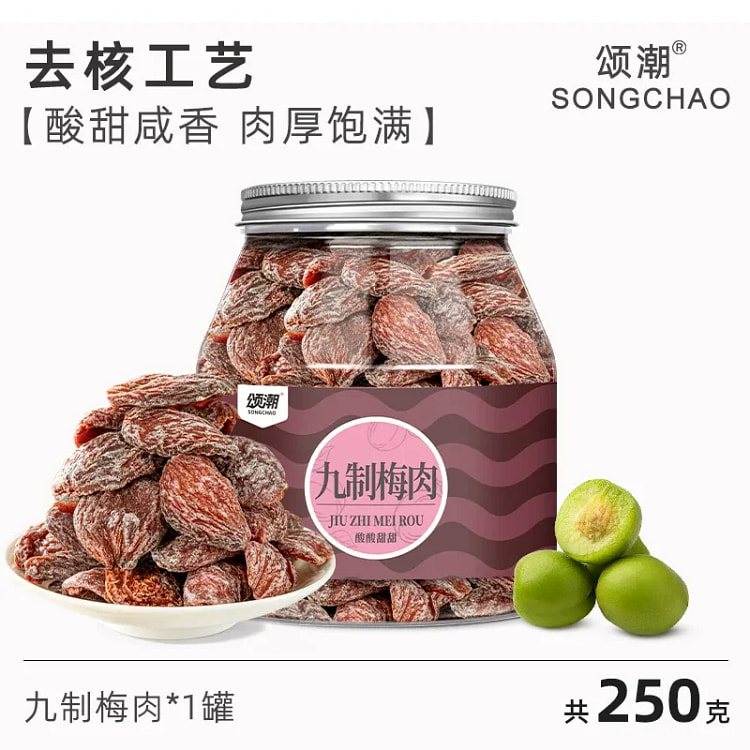 颂潮九制梅肉250g无核话梅肉果脯咸蜜饯梅子解馋零 250 克