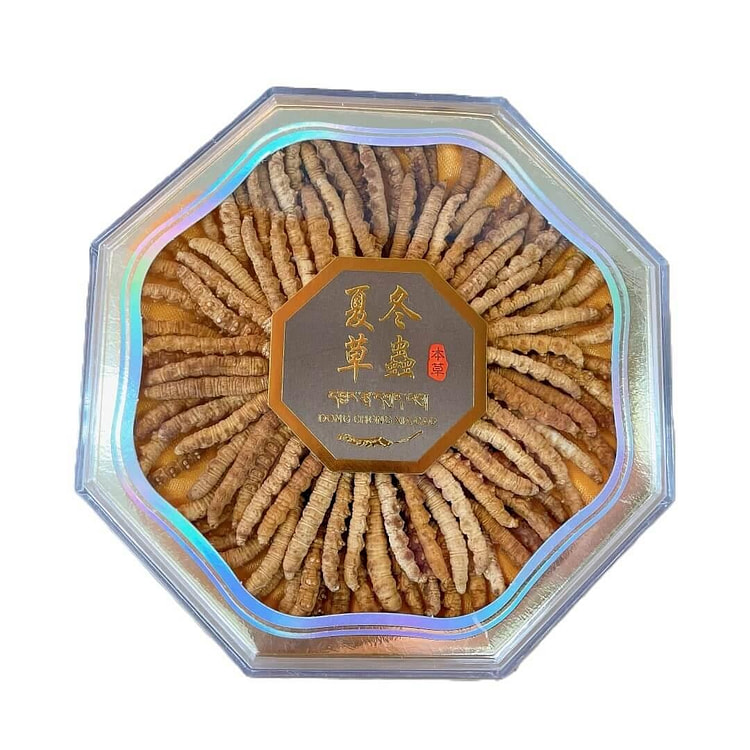 野生冬虫夏草 中号（1/2 盎司）
