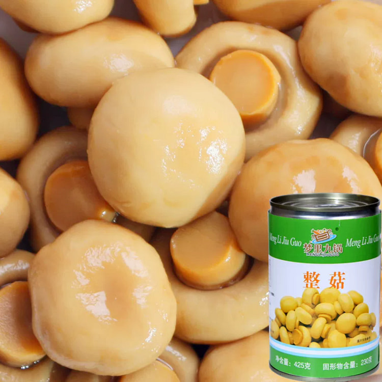 Mushroom Can 425g*1