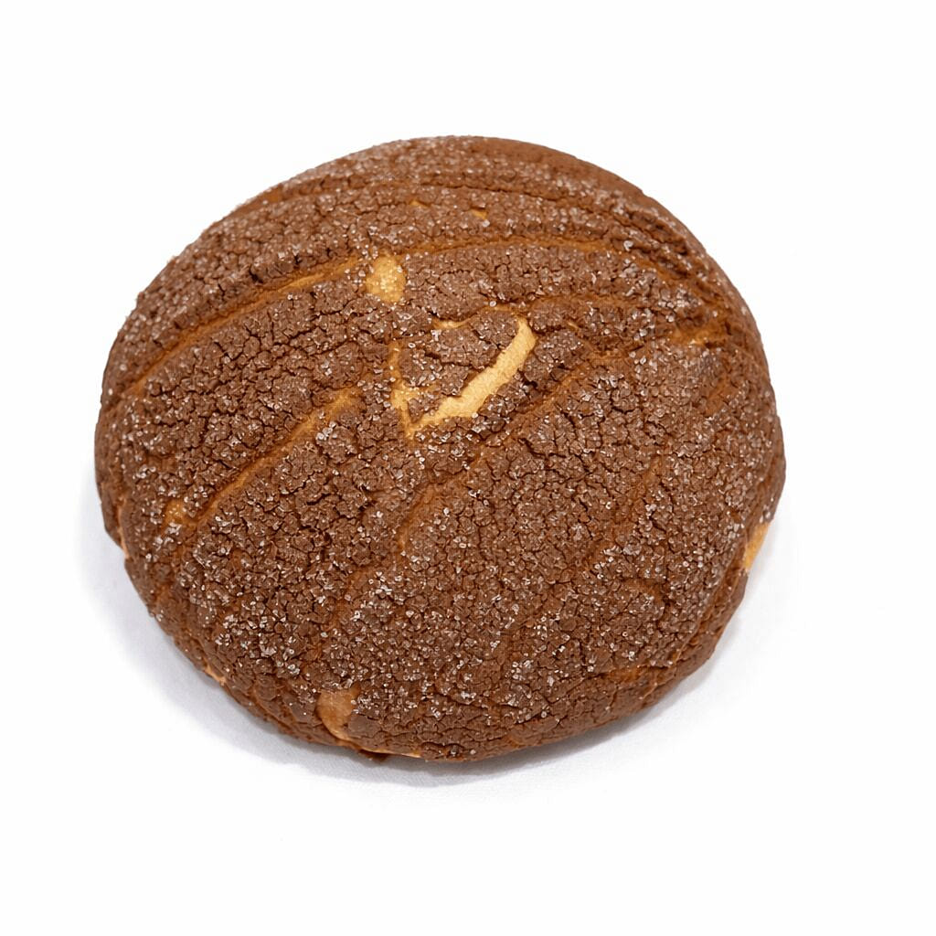 Chocolate Vanilla concha Pan Dulce sweet bread 1 count