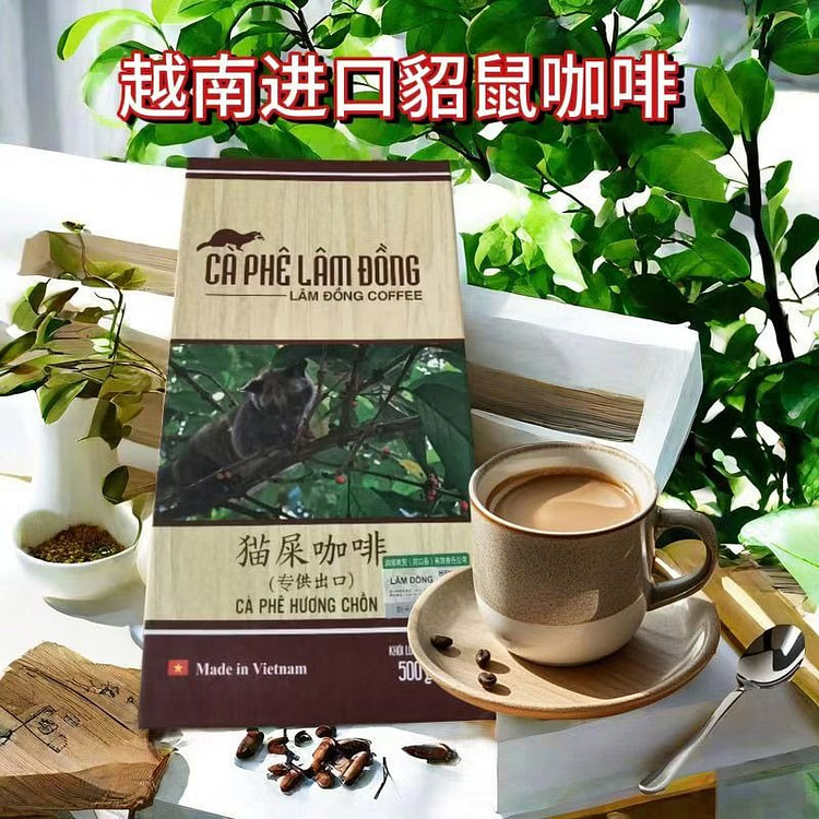 正宗国外越南G8原粉咖啡粉进口貂鼠滴漏研磨500克装