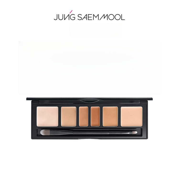 JUNG SAEM MOOL Artist Concealer Palette 6.6g Skin 1 box