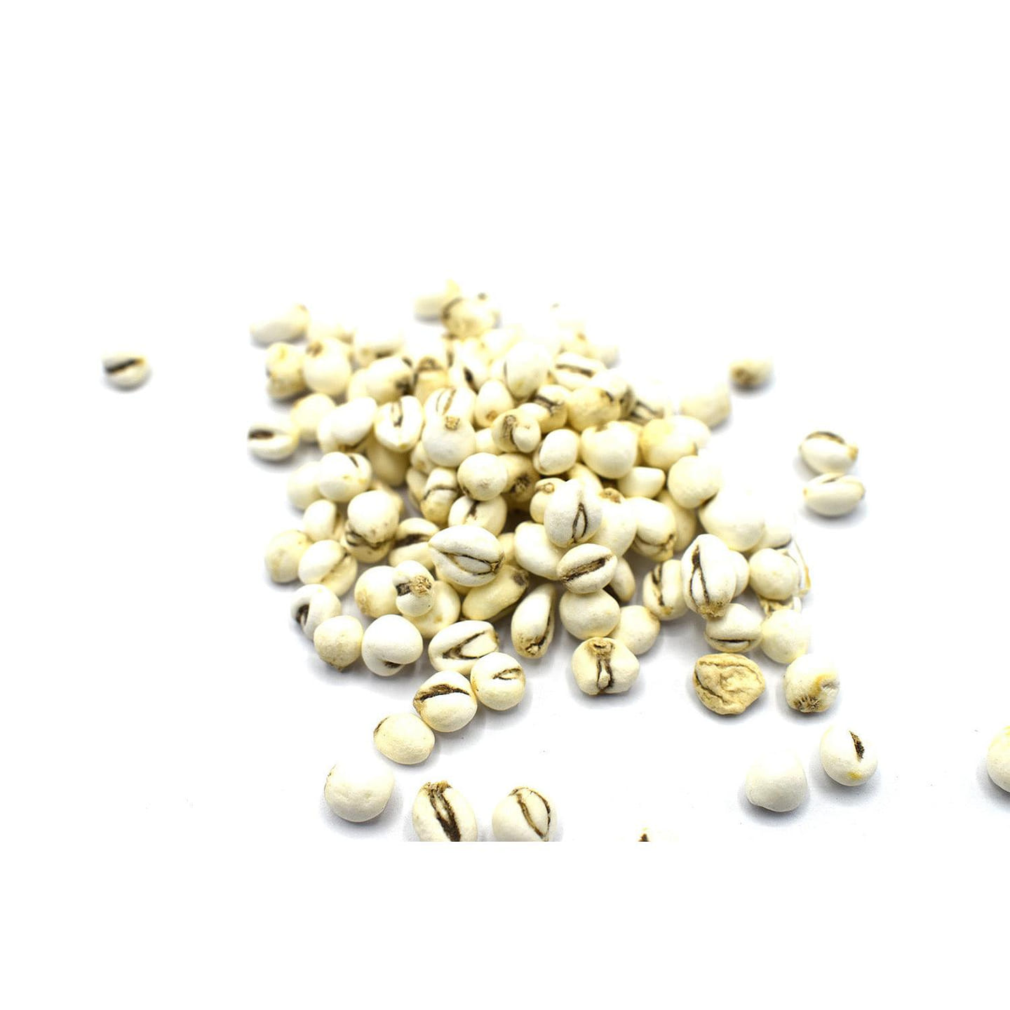 CHUAN BEI MU – Fritillaria Bulb – Custom Amount 100g 1 each