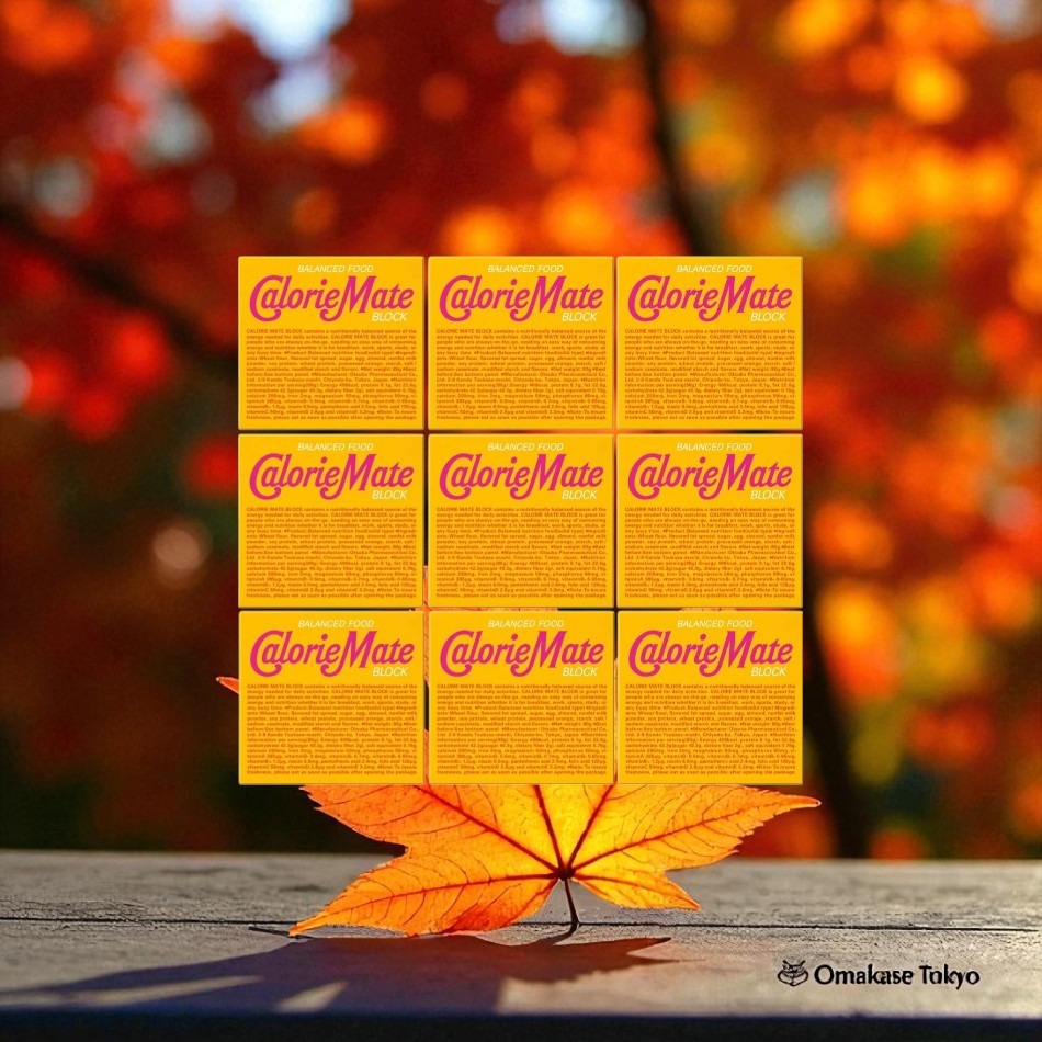 Calorie Mate Block,楓糖味, 990 克