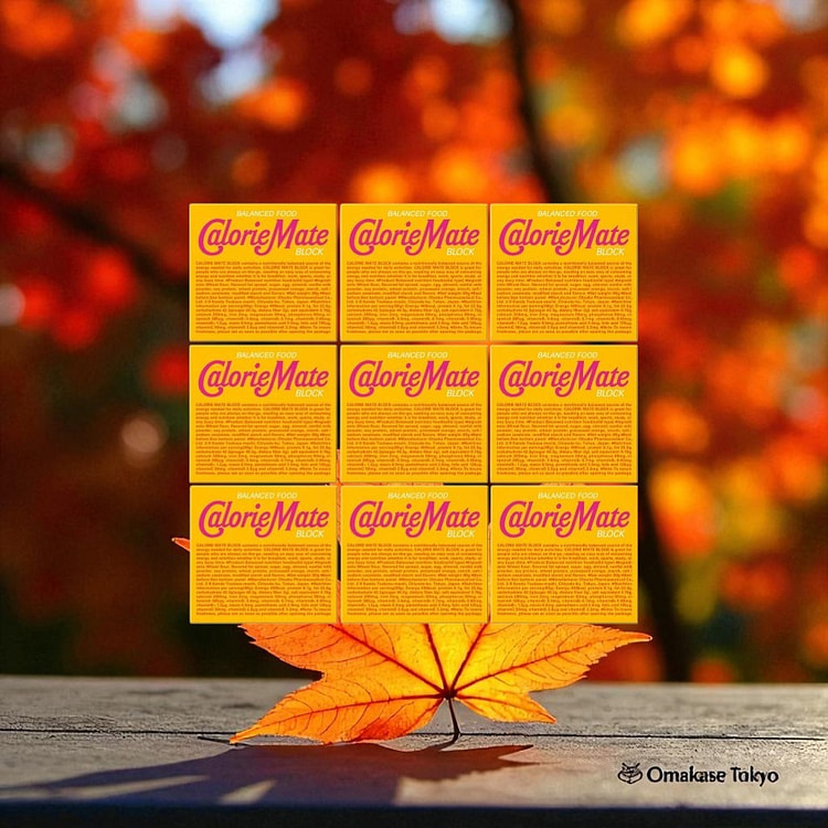 Calorie Mate Block, Maple Flavor, 4 x 9 Packs