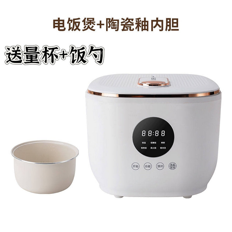 110V 其他家二插3L 电饭锅 2700 克