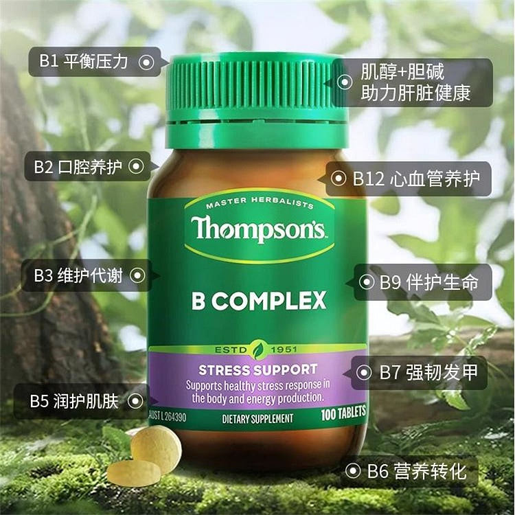 汤普森 综合维生素B100片营养补充B族提高免疫力