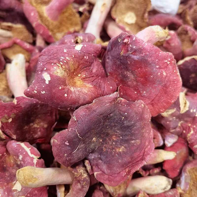 新货纯野生红菇伏牛山特产250g*1袋 250 克