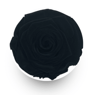 White Mini Round Black 1 each