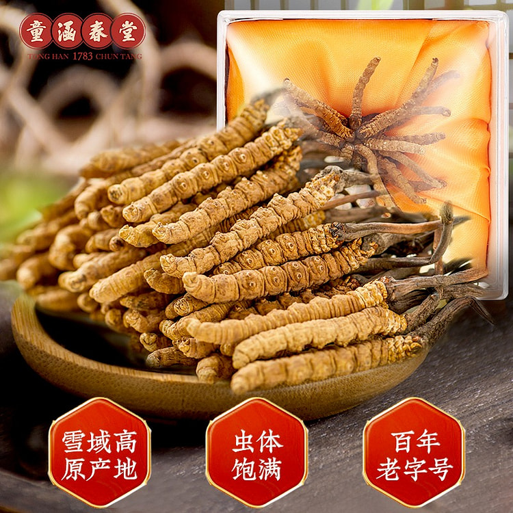 Cordyceps sinensis green kidney supplement 5g