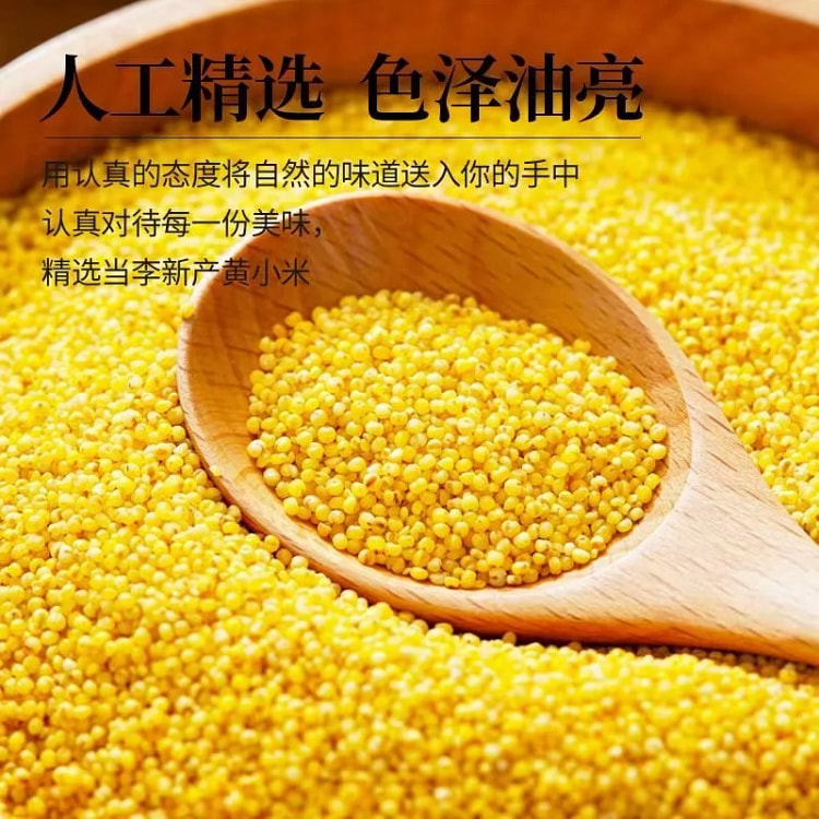 山西小米杂粮黄小米500g*1袋