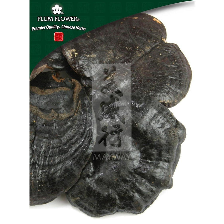Ling Zhi (Hei), unsulfured Ganoderma sinense fungus