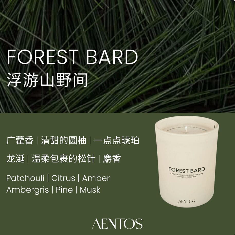 AENTOS SCENTED CANDLE FOREST BARD 200 g