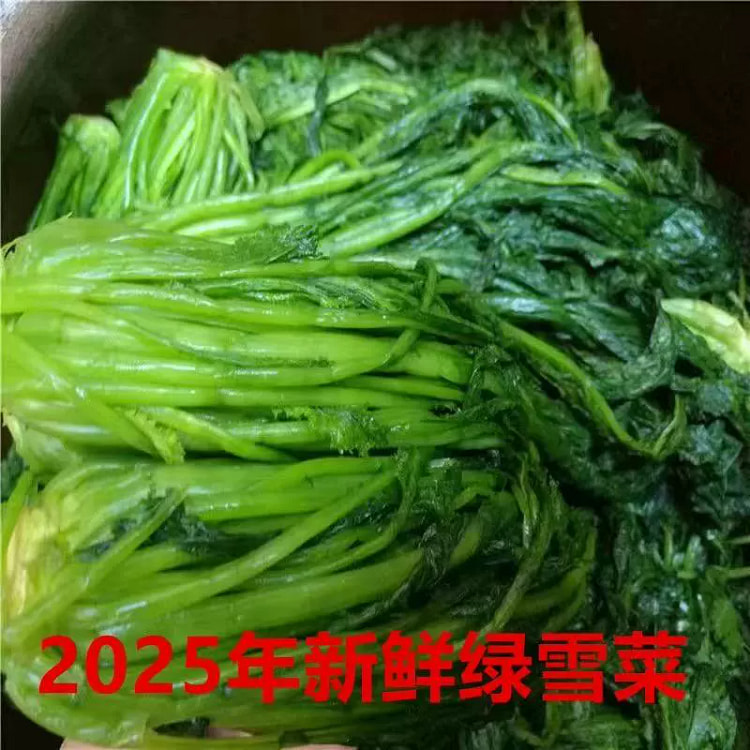 优质绿色雪里红500g*1袋