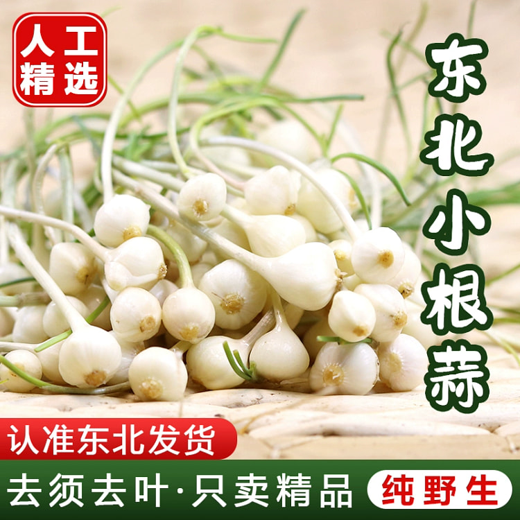 东北小根蒜野菜野葱大脑瓜野蒜荞子野蒜即食东北特产250g*1包