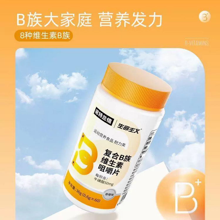 诺特兰德生命主义复合B族维生素咀嚼片 36g*1 36 克