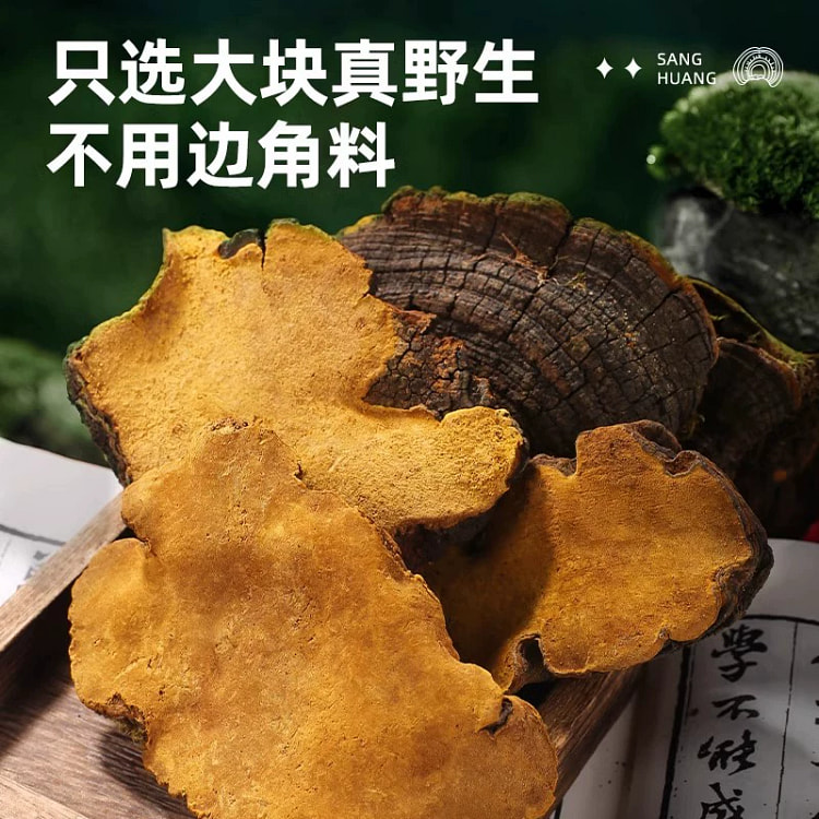 桑黄中药材*1罐