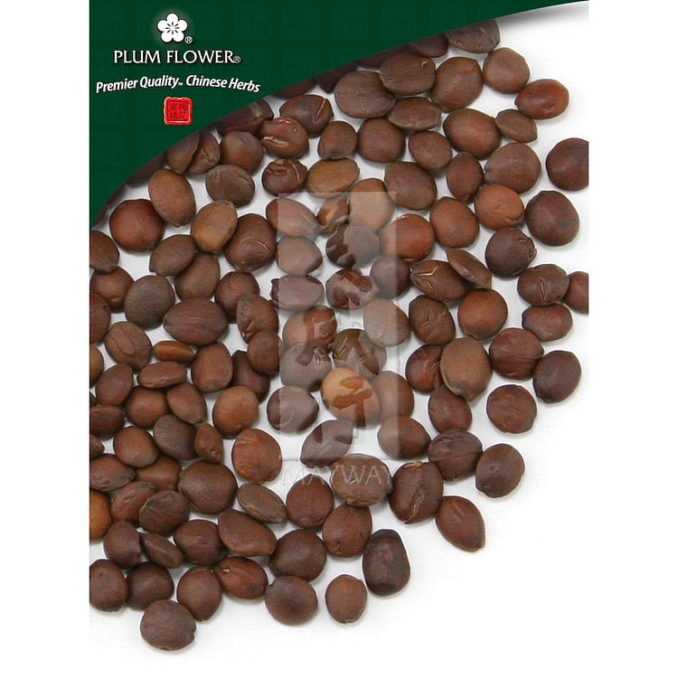Suan Zao Ren (Chao), unsulfured Ziziphus spinosa seed- stir-fried