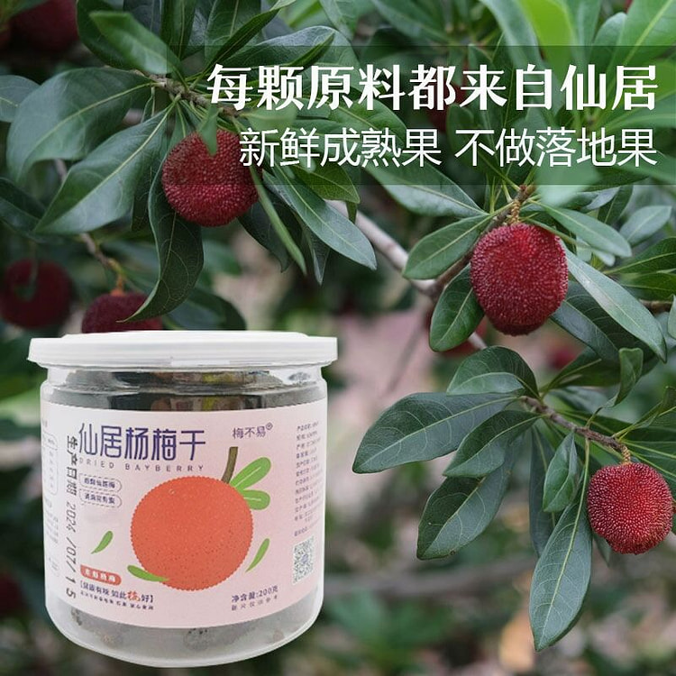 仙居杨梅干原味200克