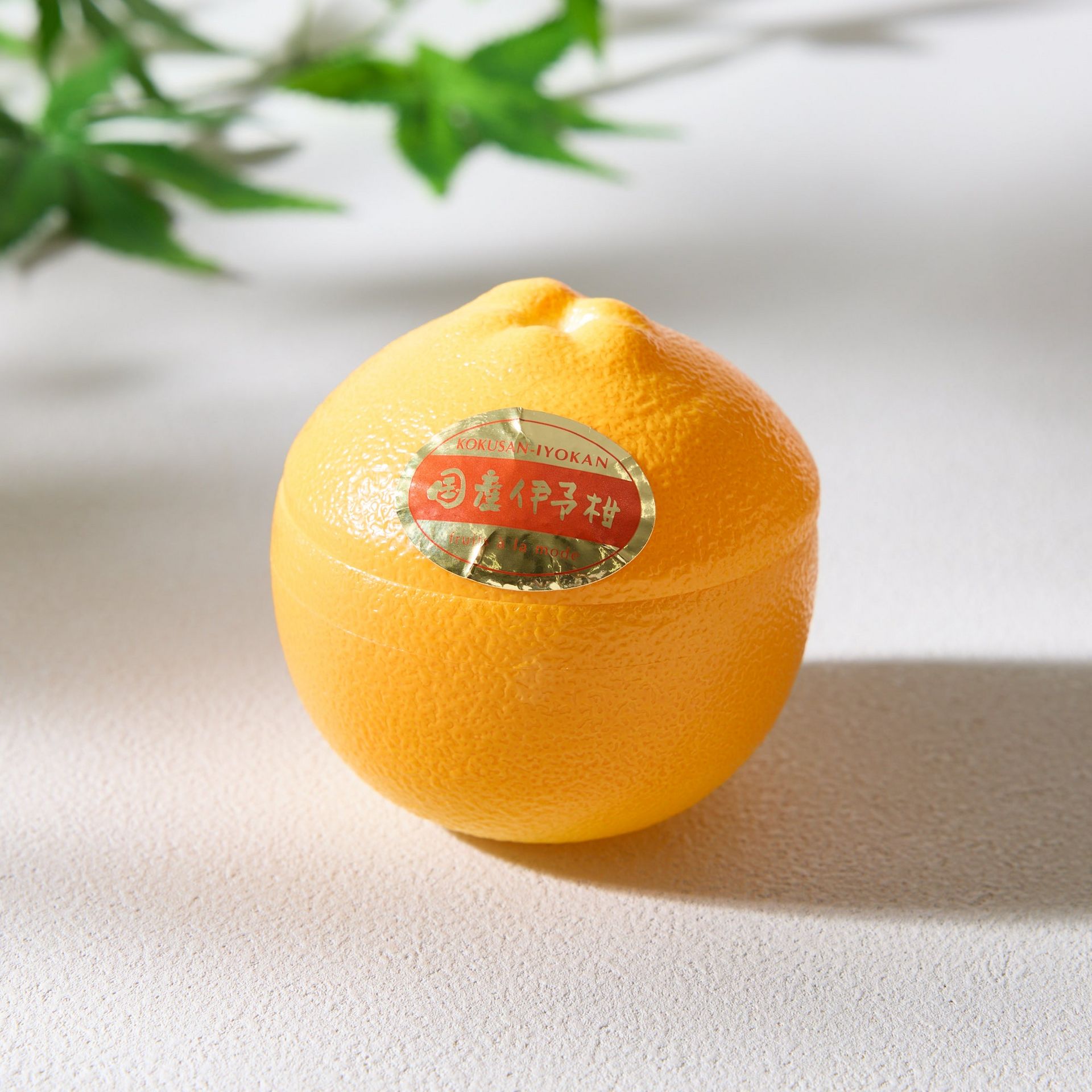 果物 shiz Japanese Shi Shi Yuzu Information and Facts