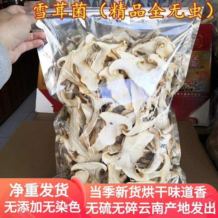 雪茸菌干货雪山松茸云南特产100g*1袋 100 克